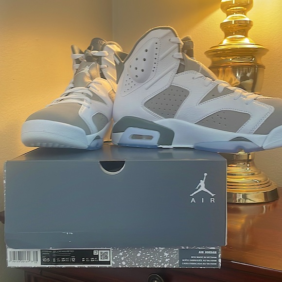Air Jordan Retro 6 Cool Grey size 10.5 - Picture 6 of 6